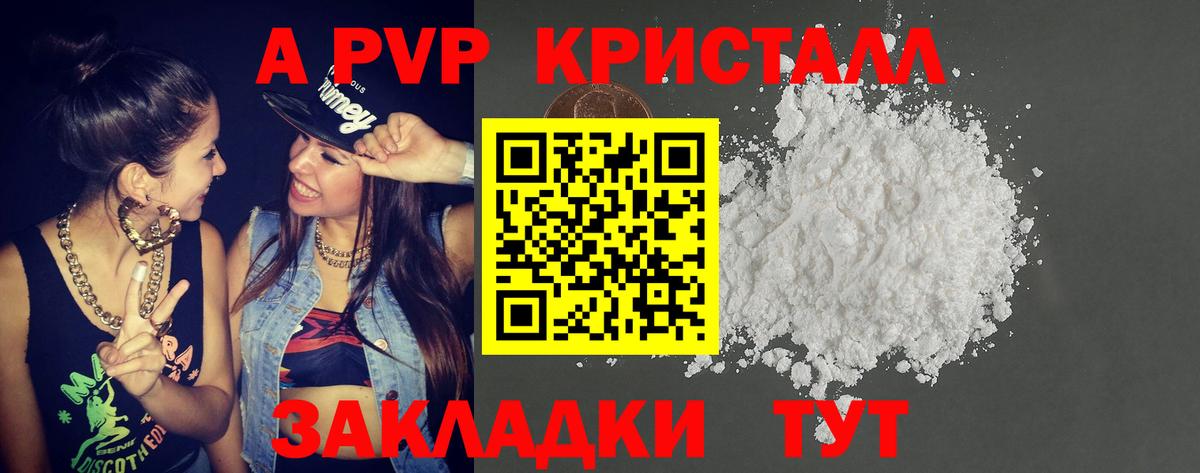 A PVP СК КРИС Тара