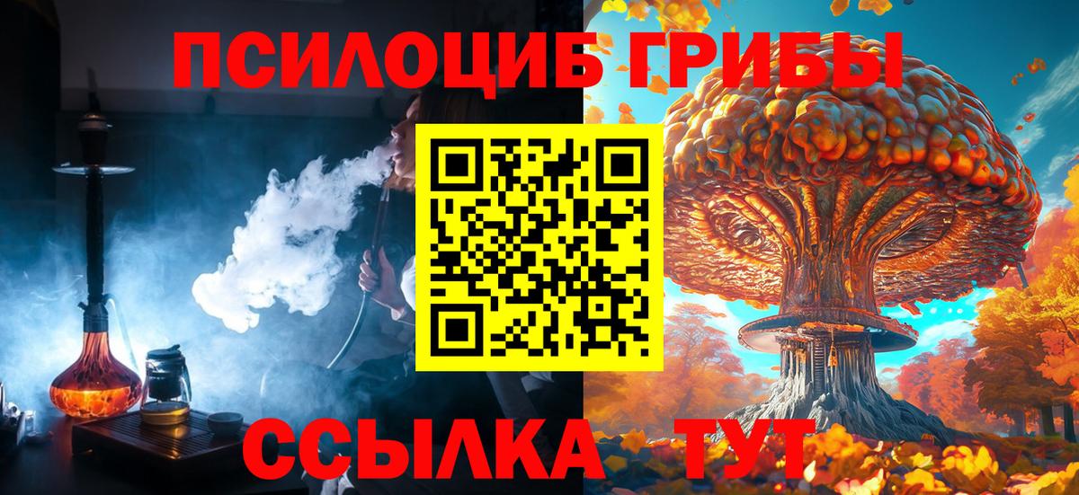 Галлюциногенные грибы мухоморы  Вход с VPN  купить наркотики цена  Тара  Галлюциногенные грибы мухоморы 